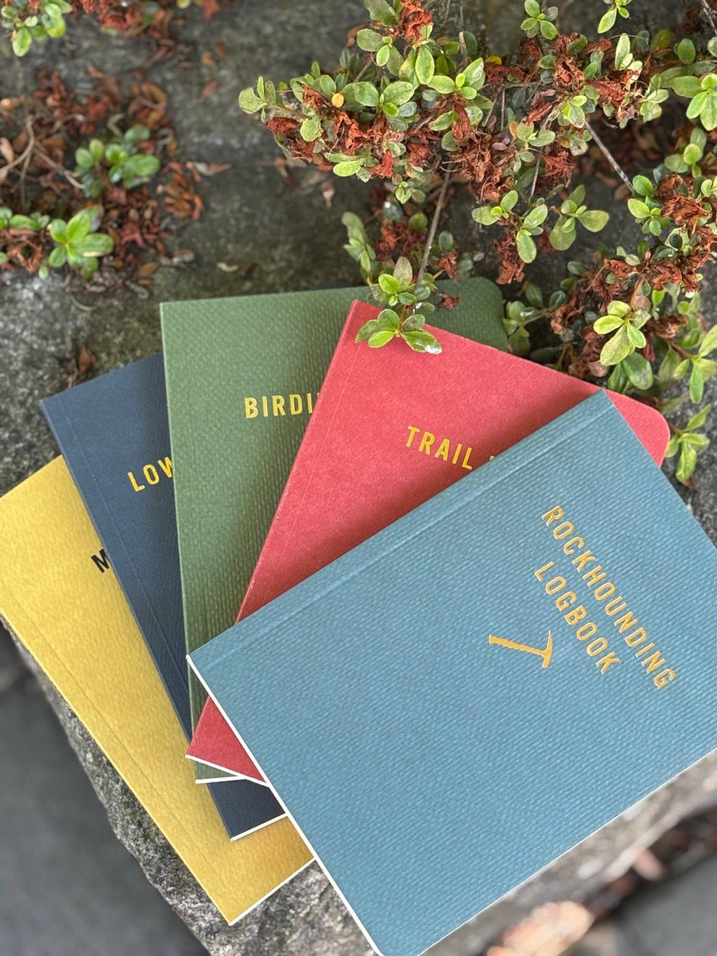 Low Gravity Days: The Climbing Log