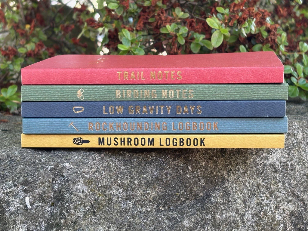 Low Gravity Days: The Climbing Log