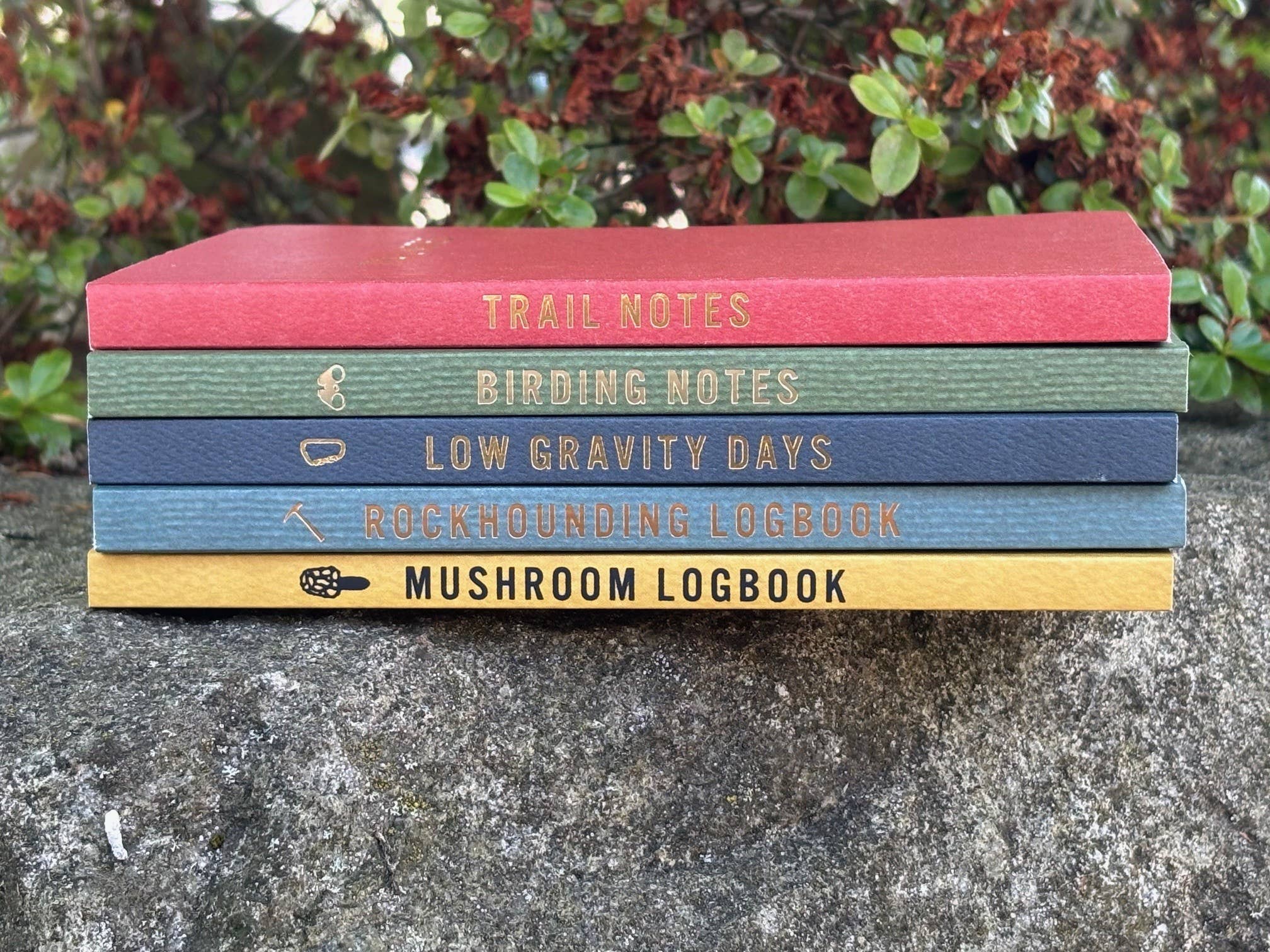 Low Gravity Days: The Climbing Log