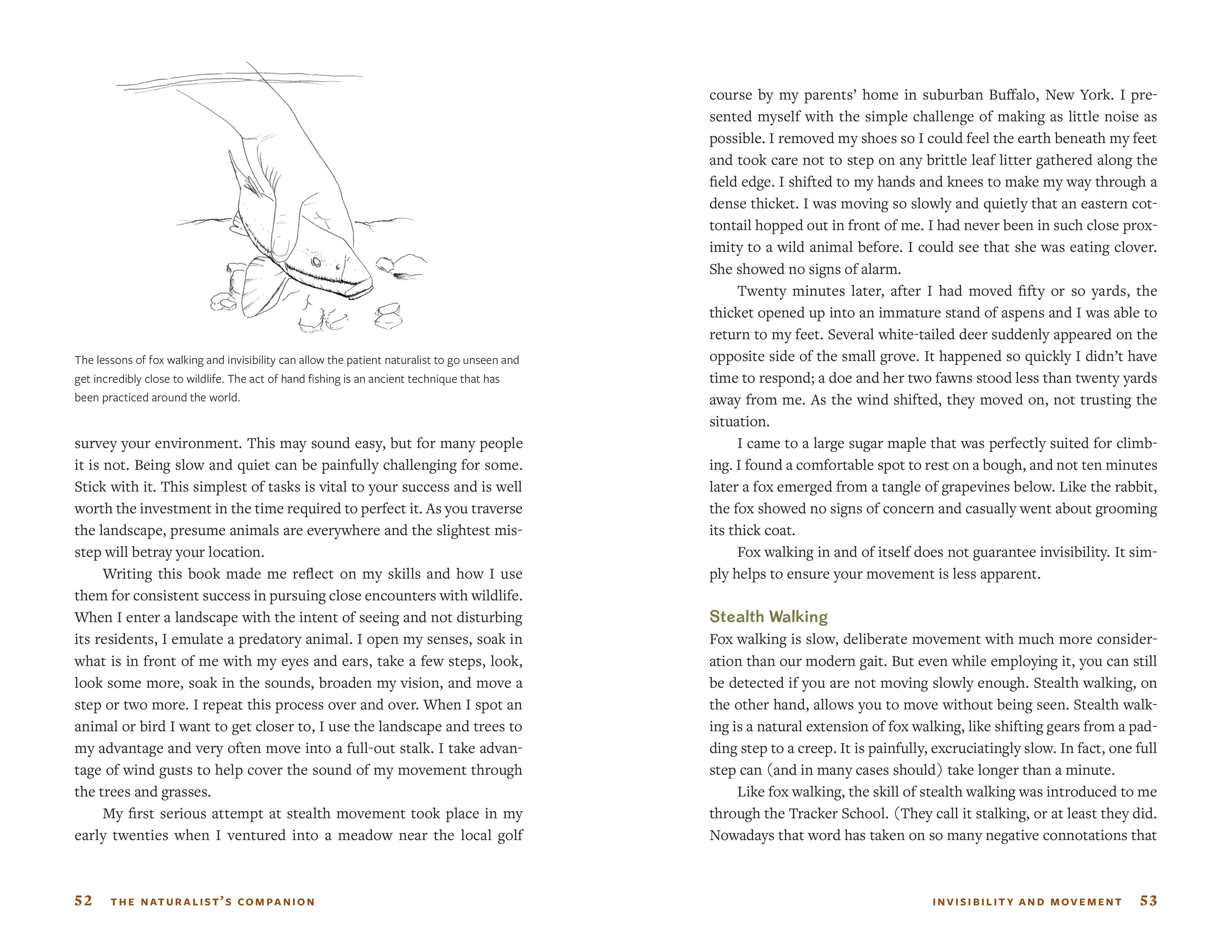 The Naturalist's Companion