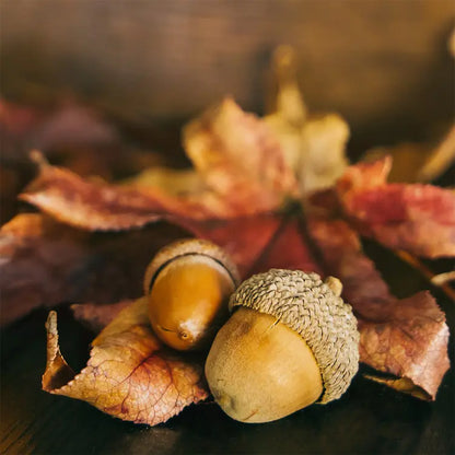 Acorn Hollow — Handcrafted Refillable Concrete Candle for Autumn