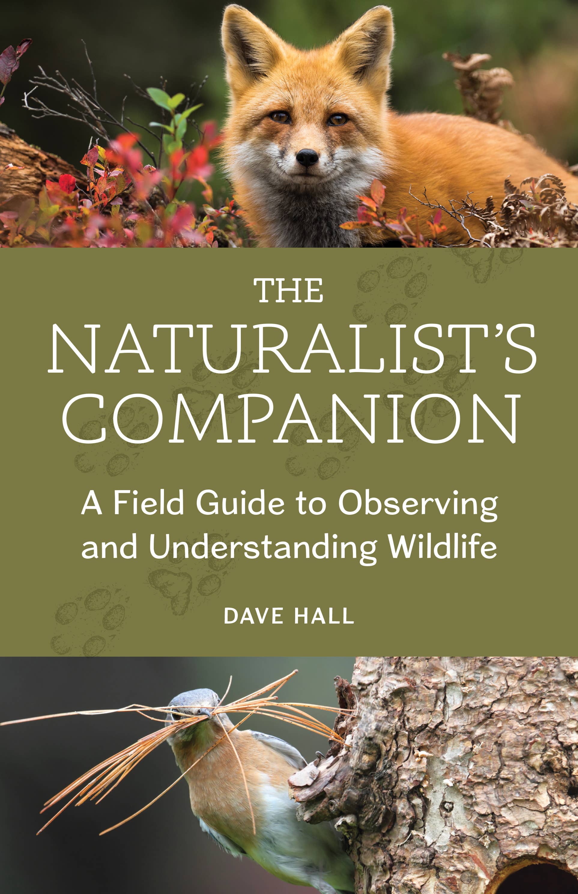 Book cover of 'The Naturalist's Companion' with a fox and nature elements.