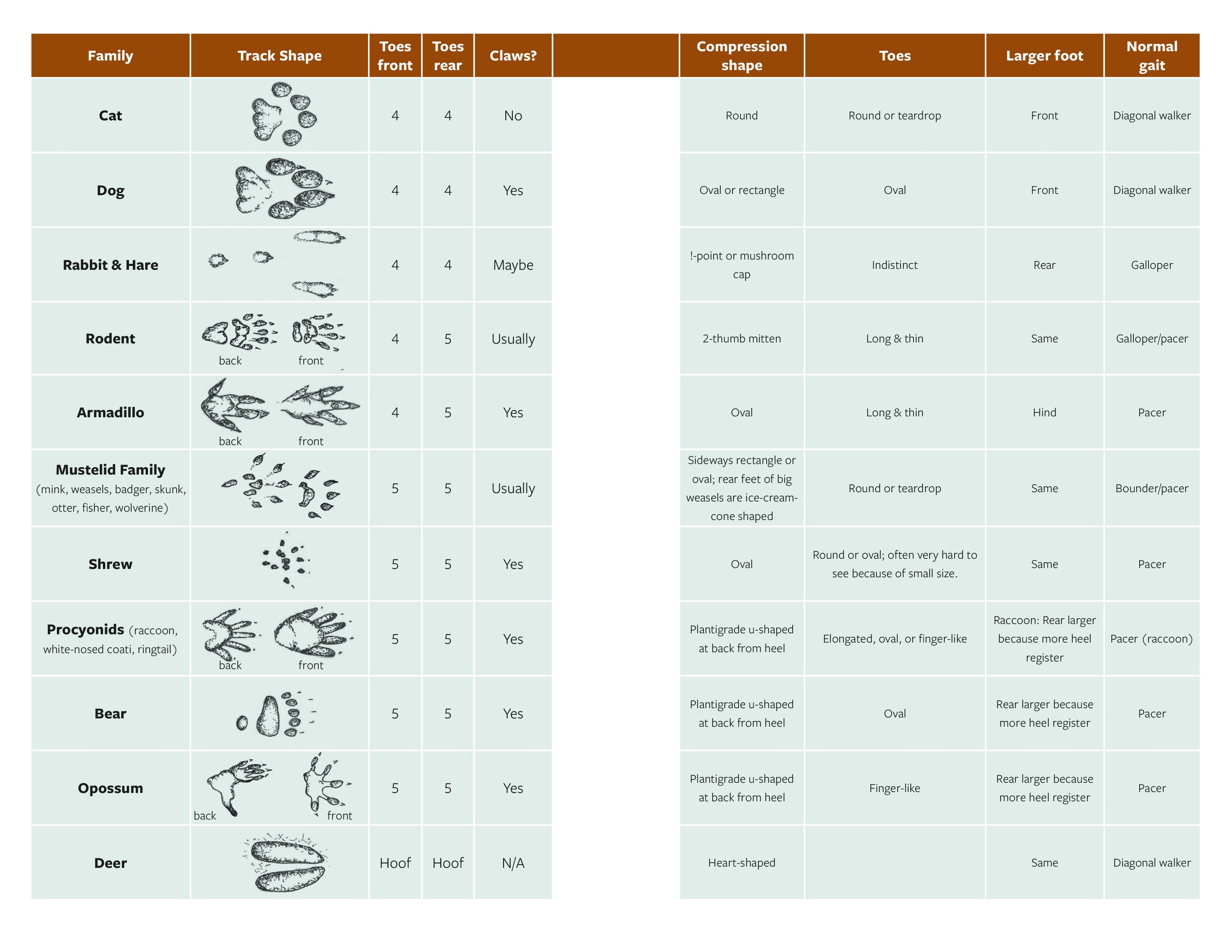 The Naturalist's Companion