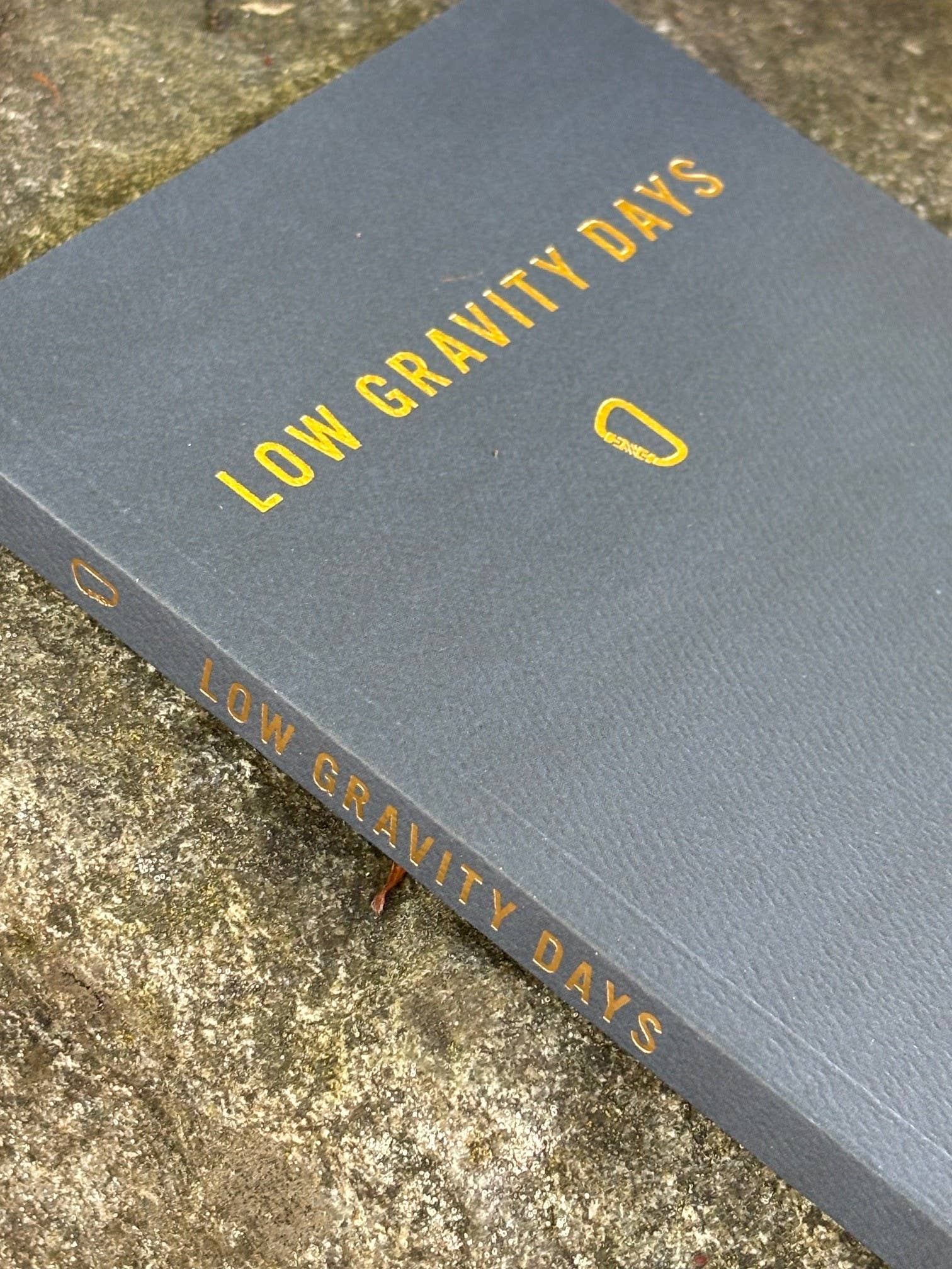 Low Gravity Days: The Climbing Log