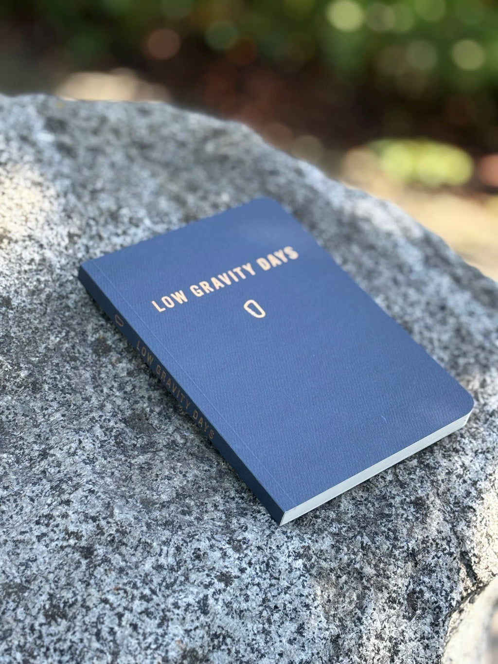 Low Gravity Days: The Climbing Log