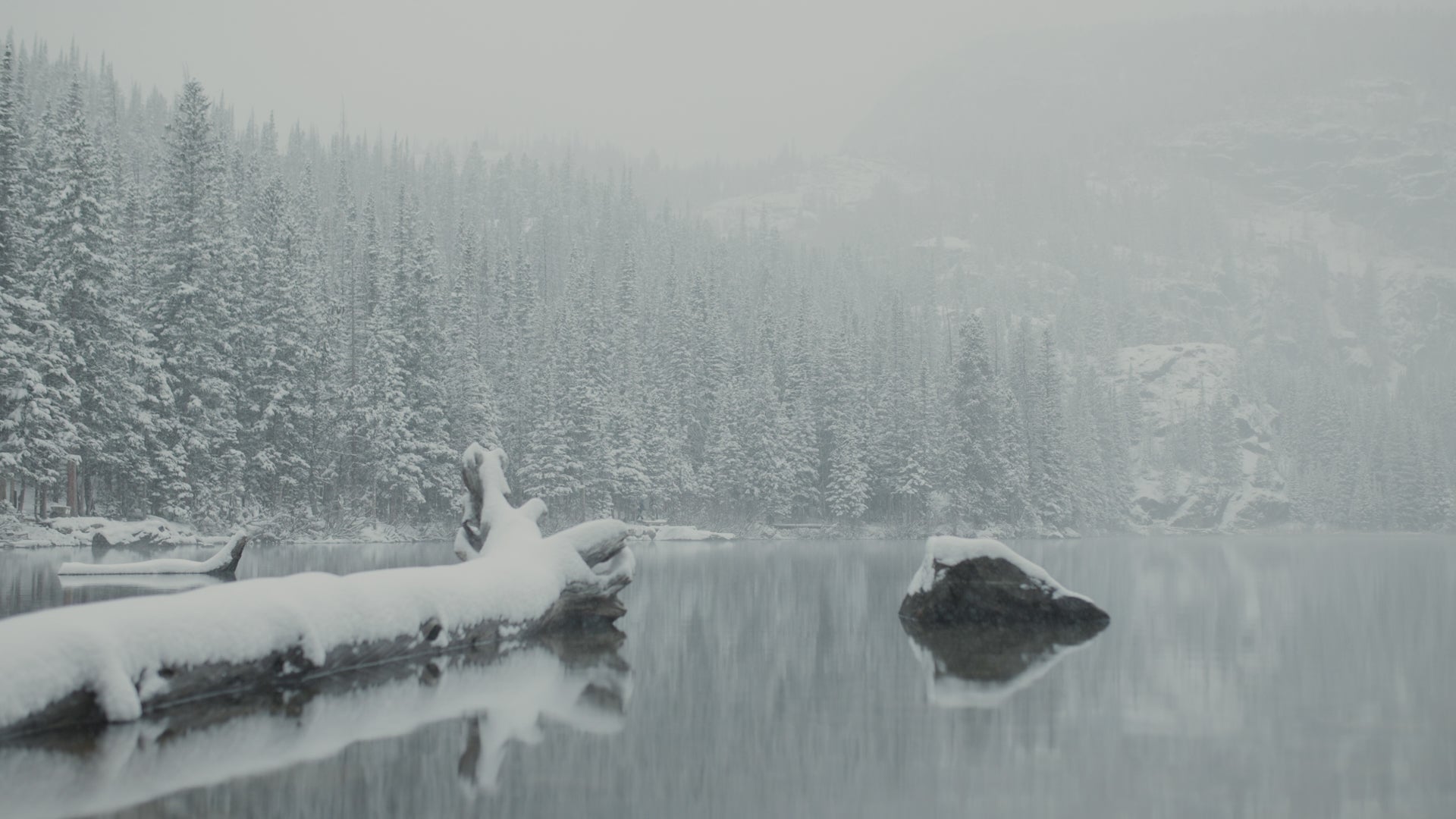 Video of a snowy winter lake